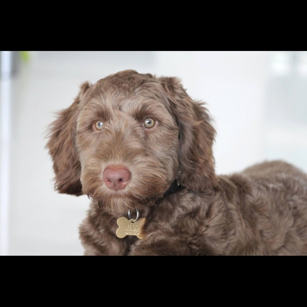 Meet your Posher, Merima